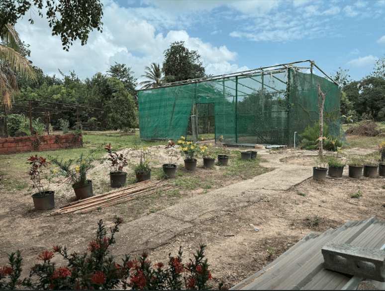 Agricultural Foundations